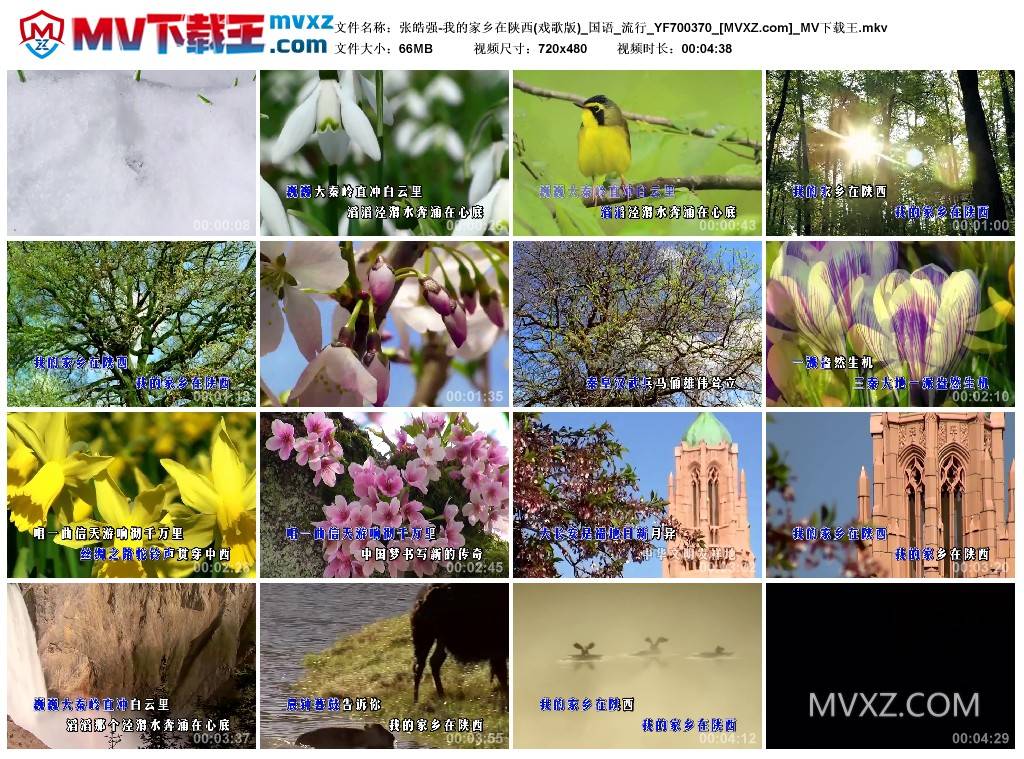 张皓强-我的家乡在陕西(戏歌版)_国语_流行_YF700370